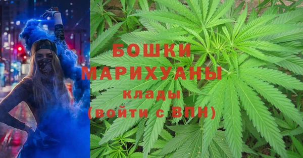гашик Аркадак