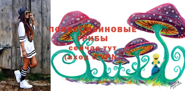 гашик Аркадак