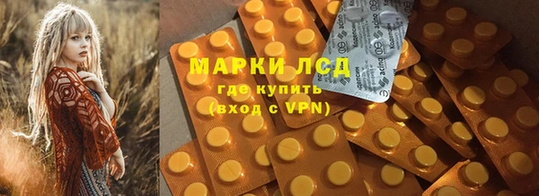 гашик Аркадак