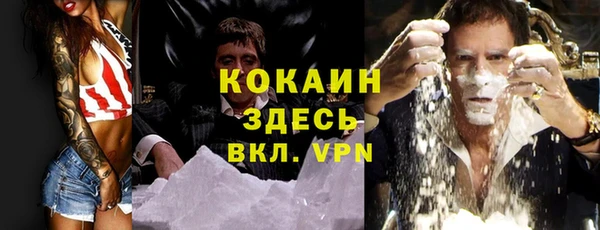 гашик Аркадак