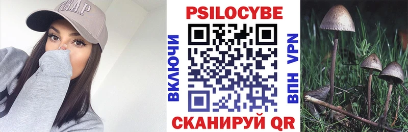 Псилоцибиновые грибы GOLDEN TEACHER  Макарьев 